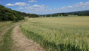 Fin de la traversée du PNHFE via l’Eifelsteig