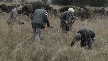 2500 plants d’éricacées plantées dans les tourbières !