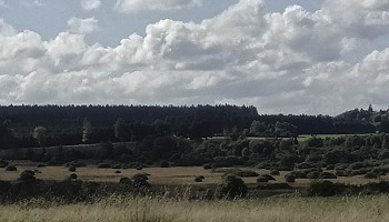 La grande fagne du Plateau des Tailles