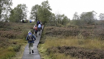 Traversée des Fagnes de l’Est
