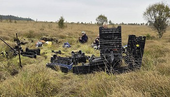 Repiquage d’éricacées à Cléfay