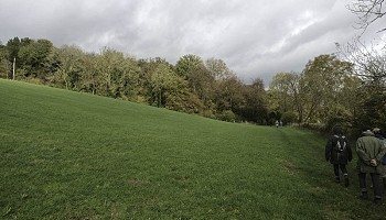 Couleurs d’automne dans les Fourons