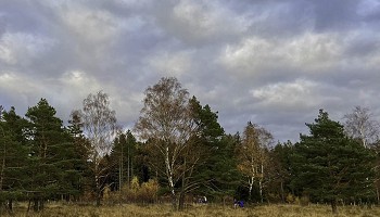 Une vingtaine de scouts en renfort des “Amis de la Fagne”