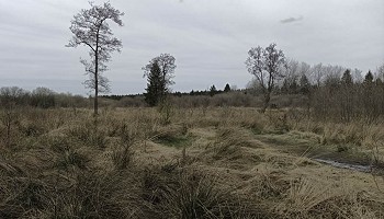 Le tour de la Brackvenn