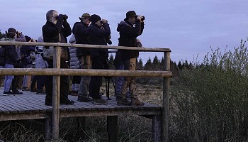 Matinée ornithologique