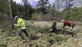 Journée de travaux à Sol Fetchereu