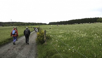 A la recherche des bornes-frontières 99 à 117, de Poteau à Ligneuville
