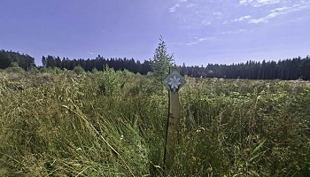 Chantier nature