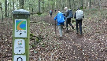 Eifelsteig - Etape n° 5 - Steinfeld-Blankenheim