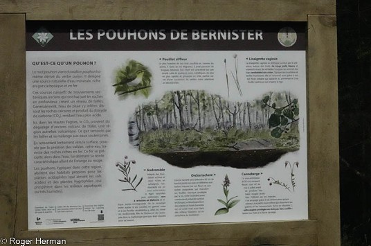 Actualité